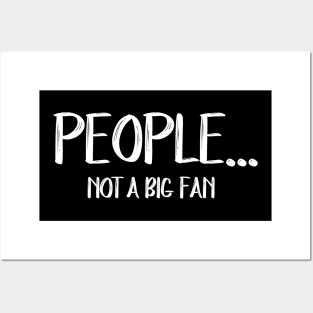 Funny People Not A Big Fan Introvert Sarcasm 6 Posters and Art